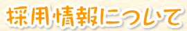 採用情報について