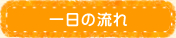 一日の流れ