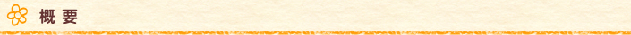 概要